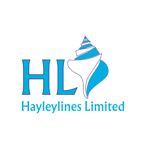 Hayleylines Logo 2026